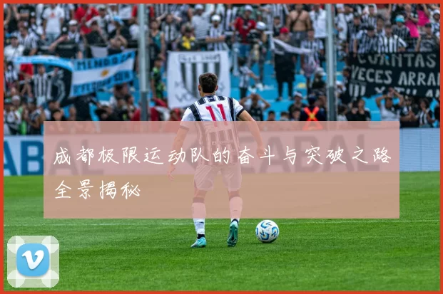 成都极限运动队的奋斗与突破之路全景揭秘