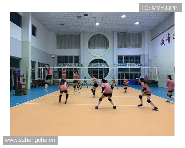 深度对话王强分享排球人生的奋斗与梦想之路 深度对话王强分享排球人生的奋斗与梦想之路