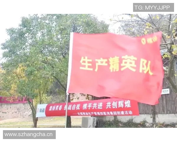 深圳飞盘队创新高飞盘配合排名引发热议展现团队实力与默契