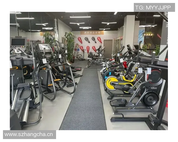 网上购买健身器材的渠道与注意事项