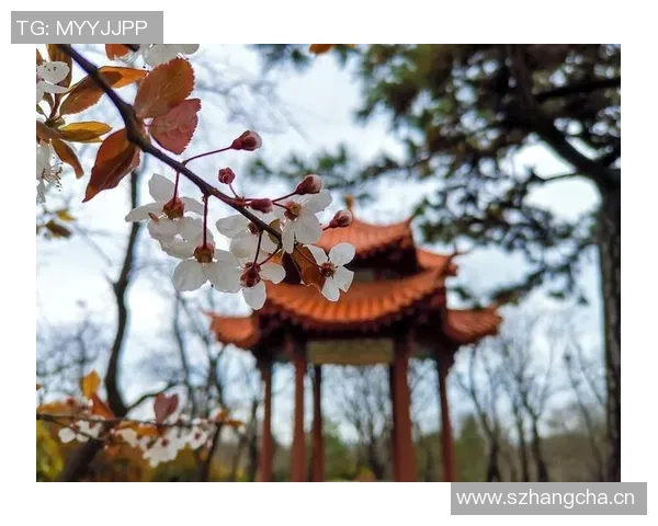 捕捉光影与瞬间之美探秘摄影艺术的无穷魅力与创新表达 捕捉光影与瞬间之美探秘摄影艺术的无穷魅力与创新表达