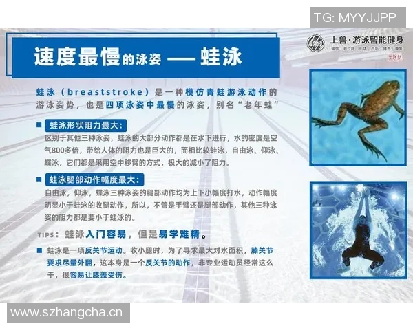 提高游泳技巧的关键训练方法与科学分析,全面解析各项泳姿的技术要点 提高游泳技巧的关键训练方法与科学分析,全面解析各项泳姿的技术要点